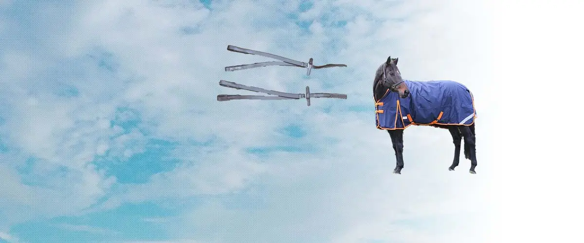 アクティブエクイン(Active Equine) 乗馬 用品・馬具