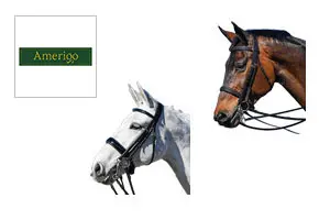 アメリゴ(Amerigo) 乗馬 頭絡