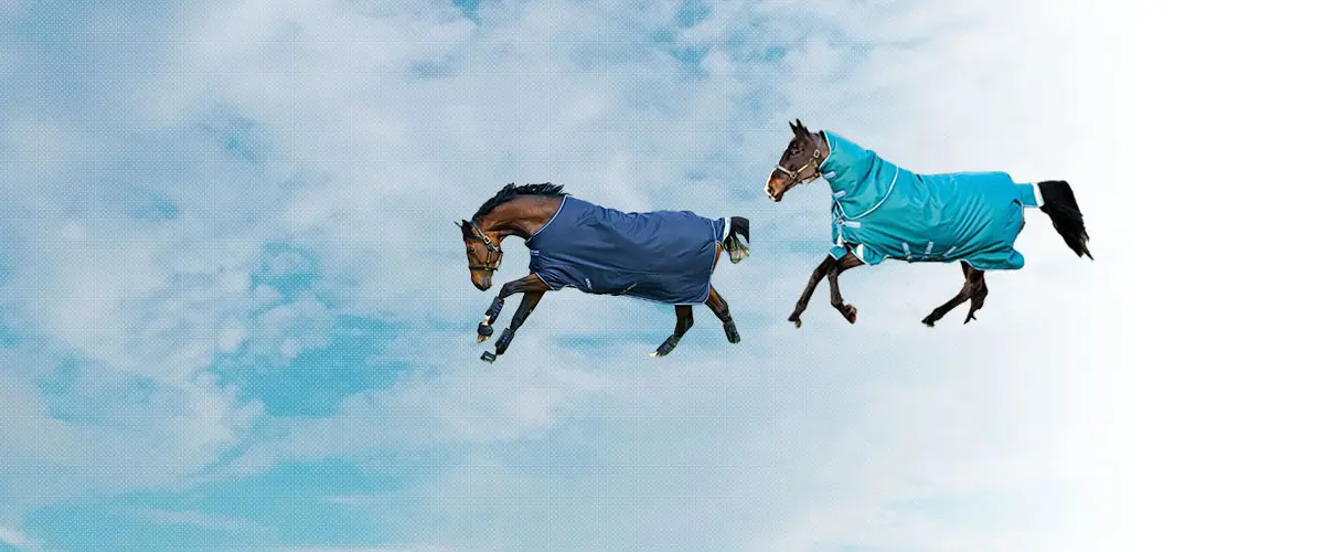 アミーゴ(Amigo) 乗馬 馬着