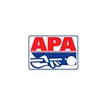 エーピーエー(APA) ビリヤード キュー