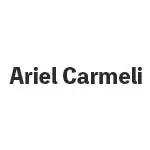 アリエルカーメリ(Ariel Carmeli) ビリヤード カスタムキュー