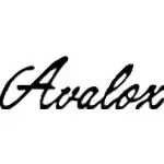 アバロックス(Avalox) 卓球 ラケット