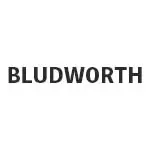 ブラッドワース(BLUDWORTH) ビリヤード カスタムキュー