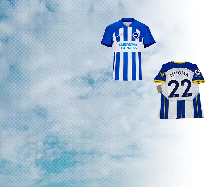 ブライトン・アンド・ホーヴ・アルビオンFC(Brighton & Hove Albion FC