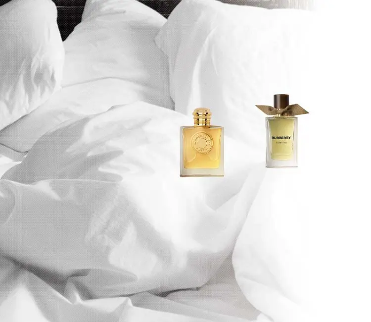バーバリー(BURBERRY) 香水買取【使いかけ・使用済でもOK!】ならc-style