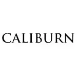 CALIBURN(カリバーン) ダーツ 用品