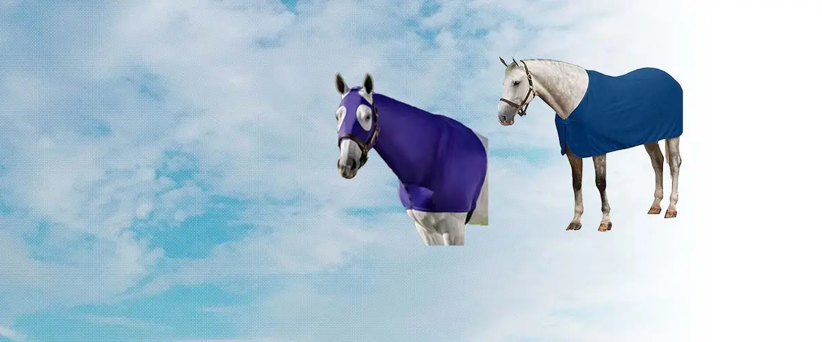 ケンタウロス(Centaur) 乗馬 用品・馬具