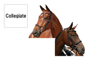 コレジエイト(Collegiate) 乗馬 頭絡