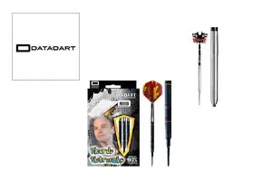 DATADART(データダート) ダーツ ダーツセット