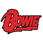 David Bowie(デヴィッド・ボウイ) ヴィンテージ Tシャツ