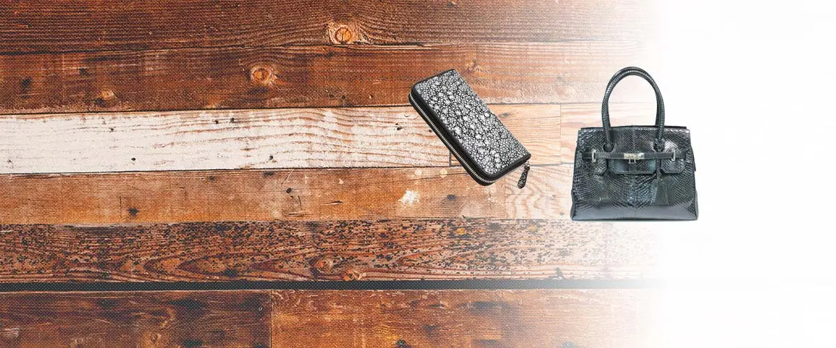 diosbras(ディオブラス)