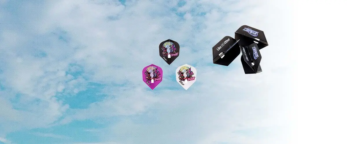 DMC(ディーエムシー) ダーツ フライト