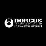 ドーカス トップブリーディング システム(DORCUS TOP BREEDING SYSTEM) スケートボード 用品