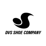 DVS(ディーブイエス)