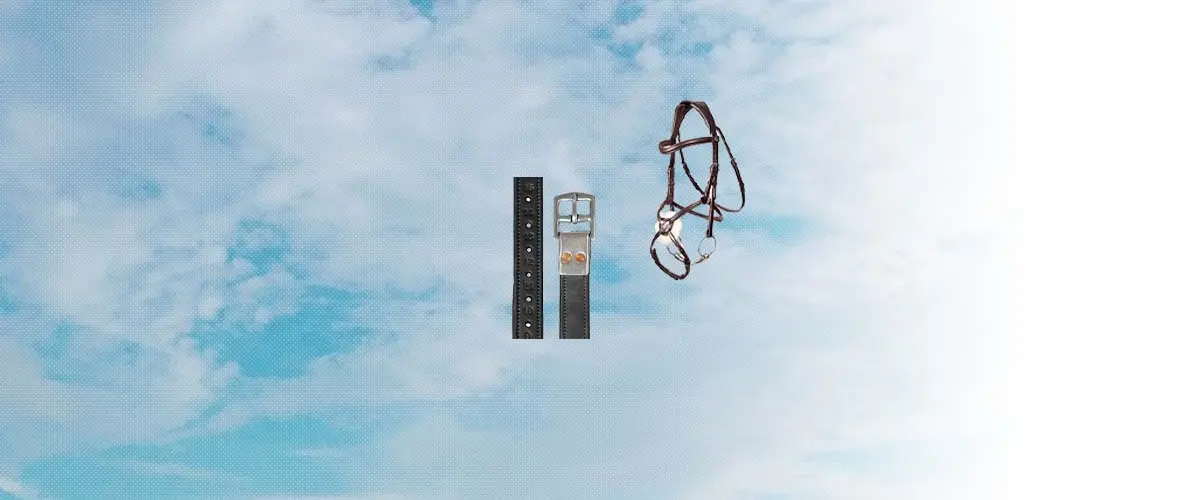 ヘンリージェイムズサドゥラリィ(Henry James Saddlery) 乗馬 用品・馬具