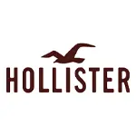 HOLLISTER(ホリスター)