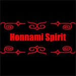 HONNAMI SPIRIT(ホンナミスピリット) ロッド