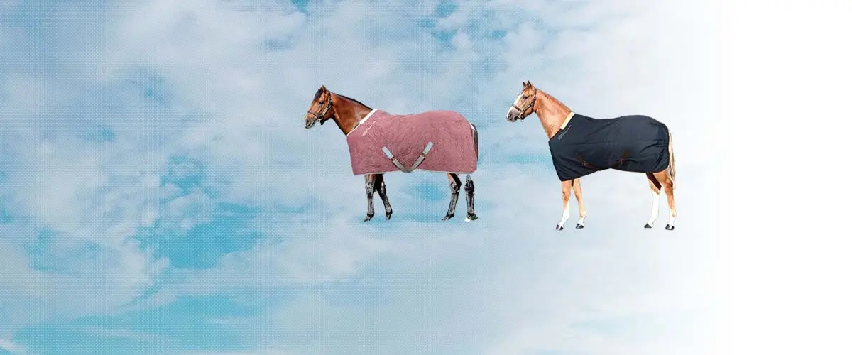ホース(Horses) 乗馬 馬着