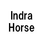 インドラホース(Indra Horse) 乗馬 馬用プロテクター