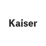 カイザー(Kaiser) ビリヤード キュー