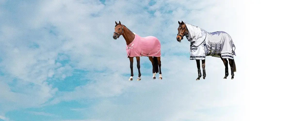 レミュー(LeMieux) 乗馬 馬着