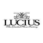 LUCIUS(ルシウス)