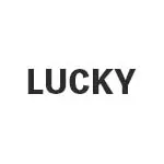 ラッキー(LUCKY) ビリヤード キュー