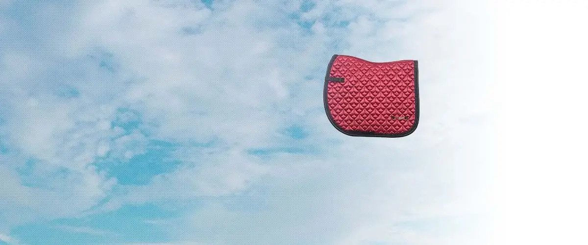 エヌブランド(N BRANDS) 乗馬 用品・馬具