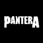 Pantera(パンテラ) ヴィンテージ Tシャツ