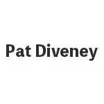 パット・ディヴィニー(Pat Diveney) ビリヤード カスタムキュー