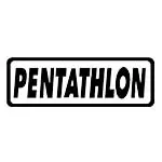 PENTATHLON(ペンタスロン) ダーツ フライト