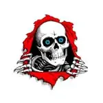 パウエルペラルタ(POWELL PERALTA) スケートボード 用品