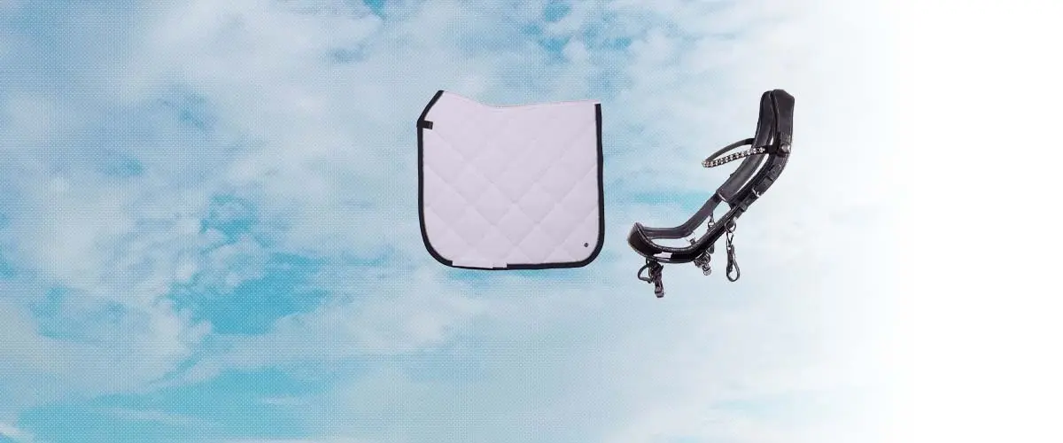 プレステク(PresTeq) 乗馬 用品・馬具
