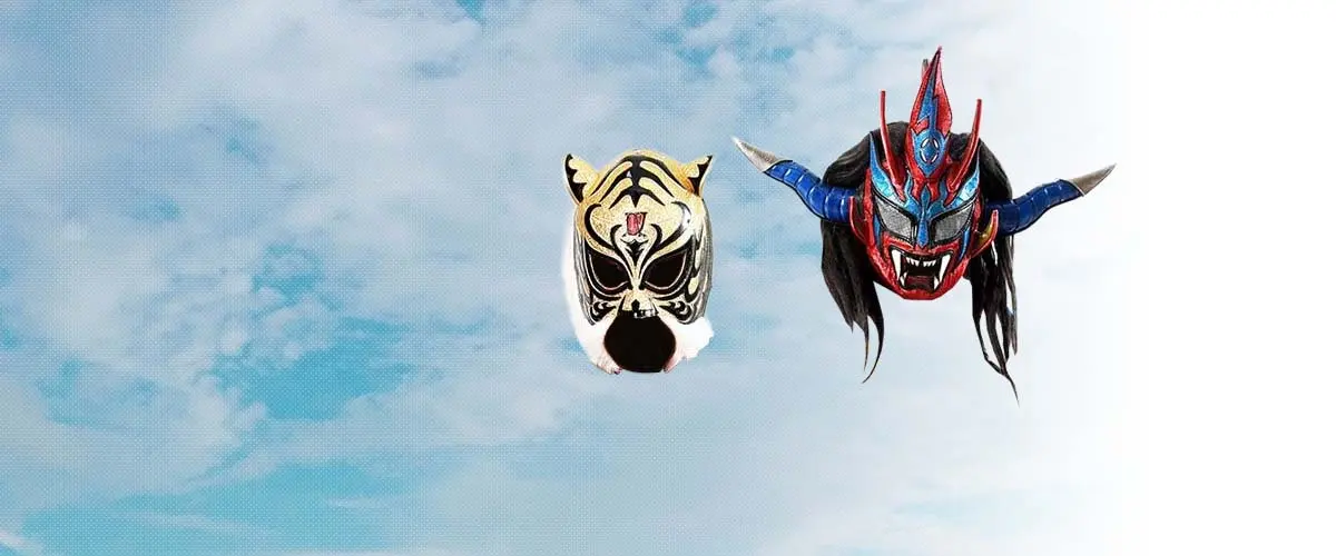 プロレスマスク(Pro Wrestling mask)