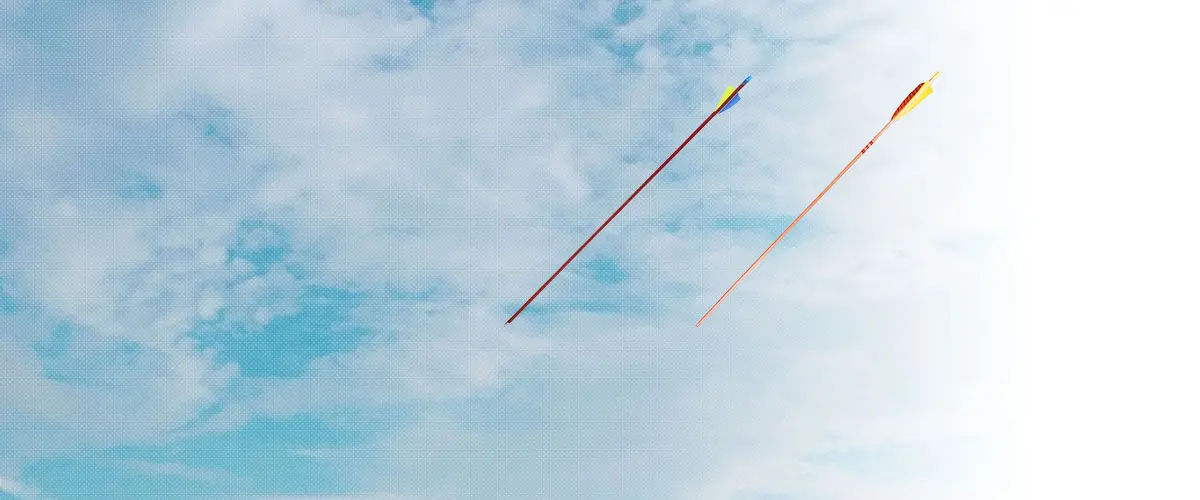 ローズシティアーチェリー(Rose City Archery) アーチェリー 羽根付き矢