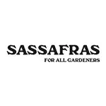 SASSAFRAS(ササフラス)