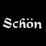ショーン(Schon) ビリヤード キュー