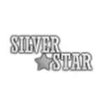 シルバースター(Silver Star) 乗馬 鞍