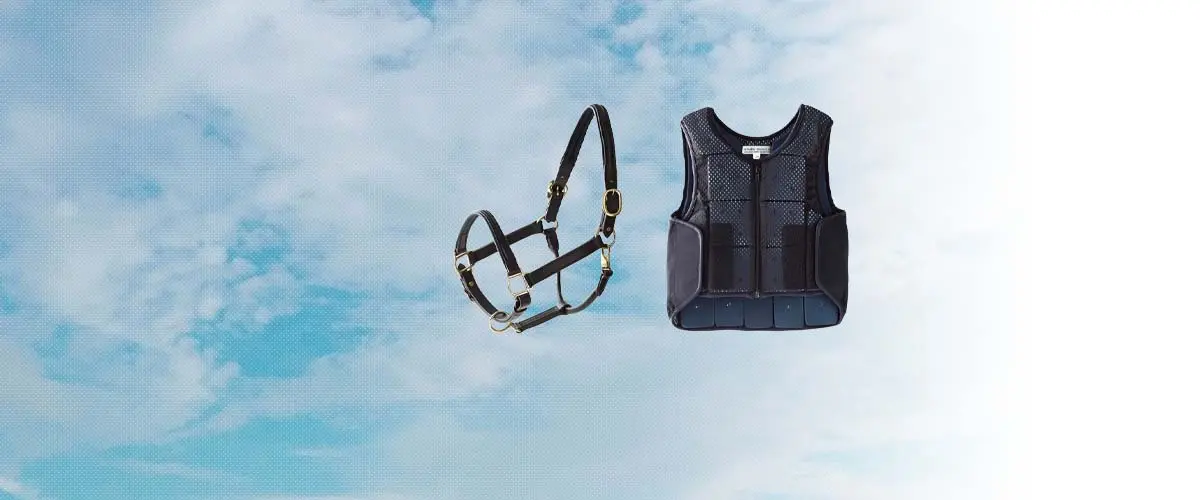 ソメスサドル(SOMES SADDLE) 乗馬 用品・馬具