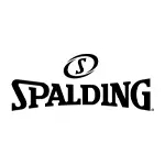 SPALDING(スポルディング)