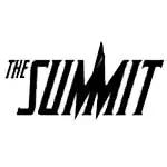 サミット(SUMMIT) ビリヤード 用品