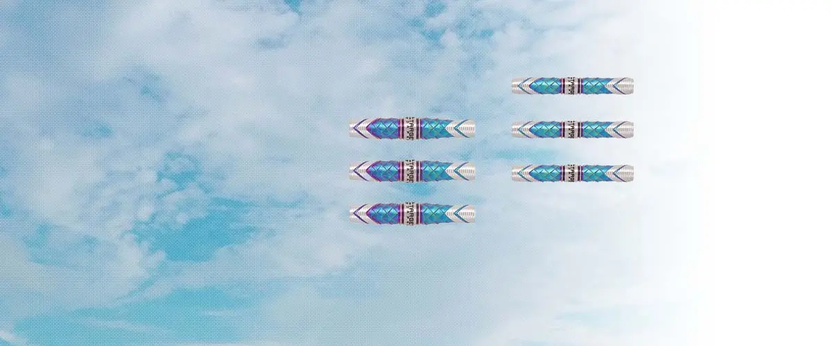 TARGET JAPAN(ターゲットジャパン) ダーツ バレル