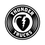 サンダー(THUNDER) スケートボード 用品 トラック