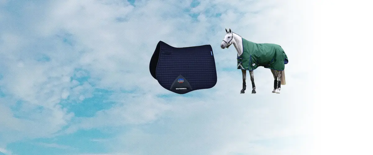ウェザビータ(Weatherbeeta) 乗馬 用品・馬具