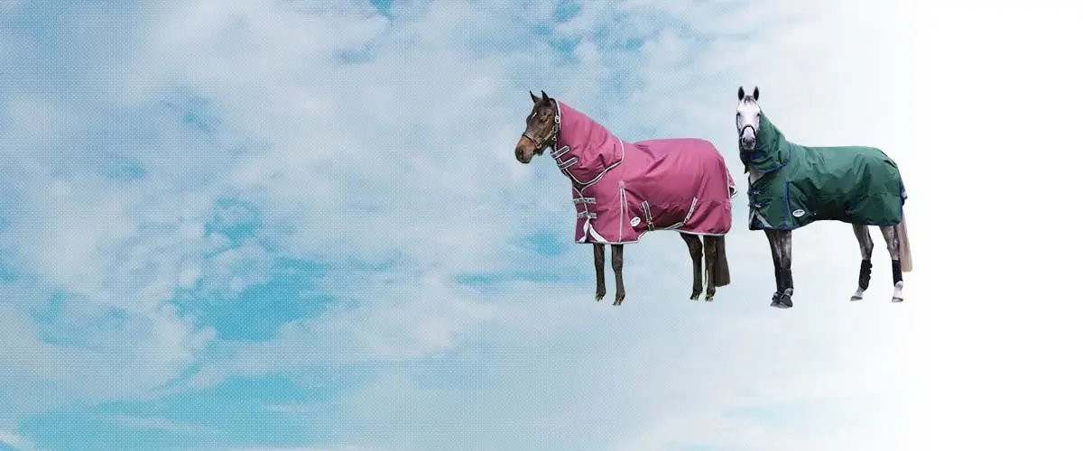 ウェザビータ(Weatherbeeta) 乗馬 馬着