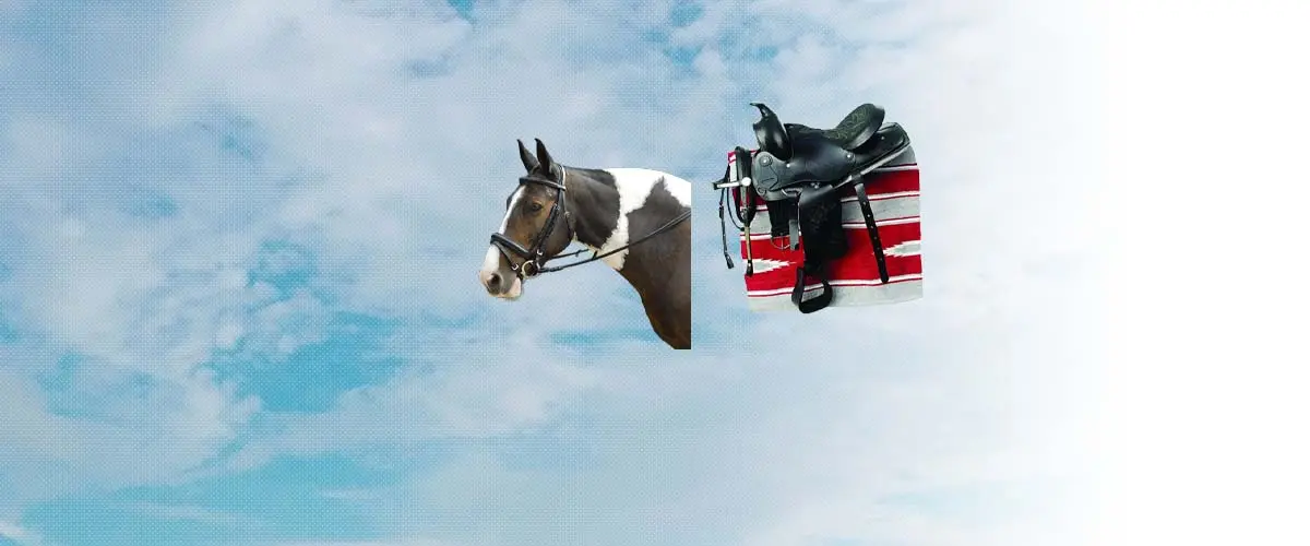 ウィンザーエストリアン(Windsor Equestrian) 乗馬 用品・馬具
