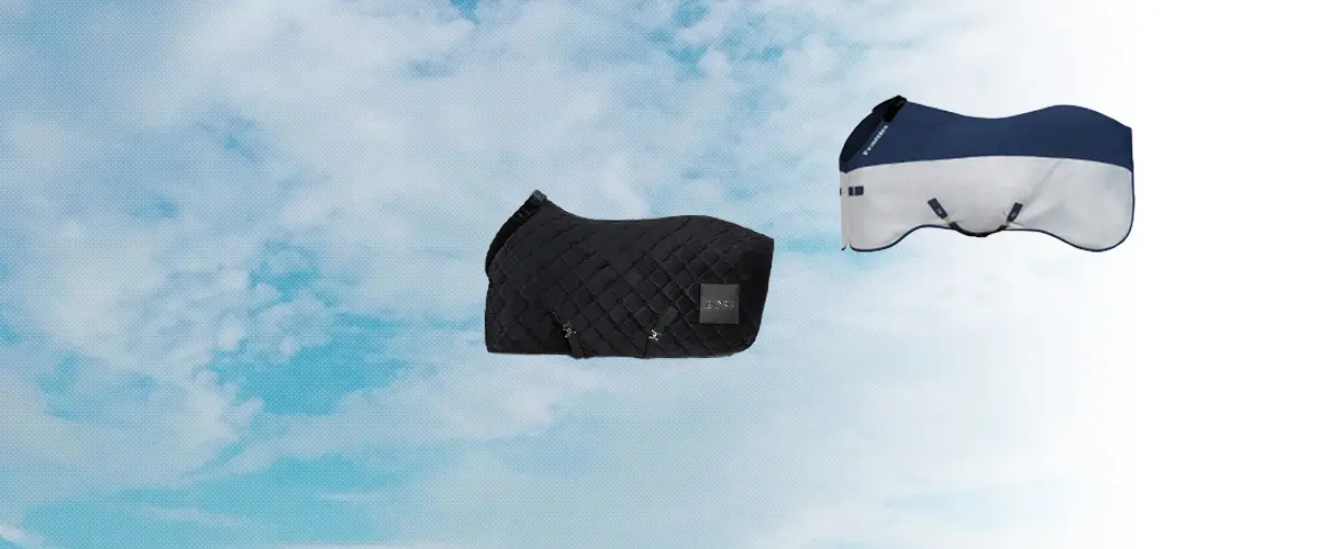 乗馬 馬着