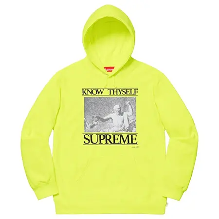 Supreme(シュプリーム)×Champion(チャンピオン)19SS Know Thyself Hooded Sweatshirt ネオンカラー パーカ