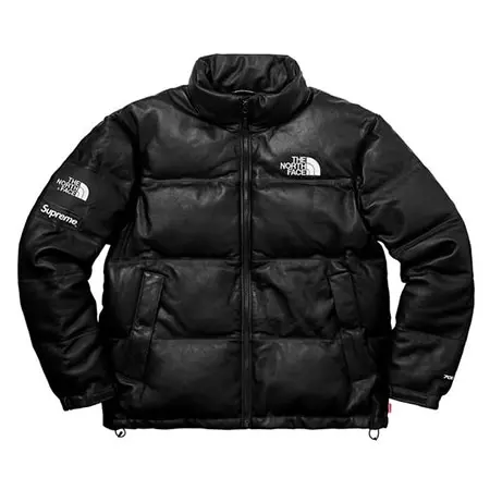 Supreme(シュプリーム)×THE NORTH FACE(ノースフェイス)17AW Leather Nuptse Jacket レザーダウンジャケット