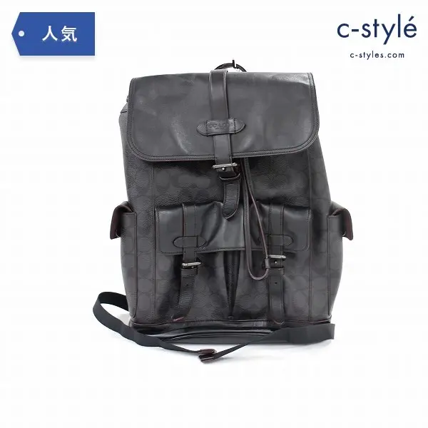 COACH コーチ HUDSON ハドソン レザー バックパック シグネチャー リュック 鞄